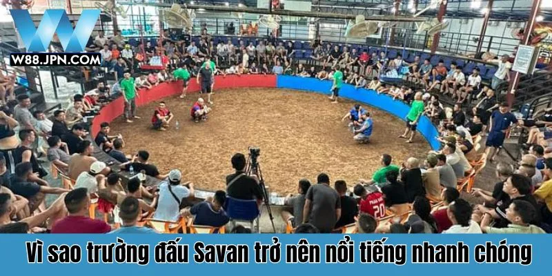 Trường Gà Savan W88