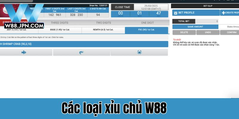 Xỉu chủ là gì? W88 