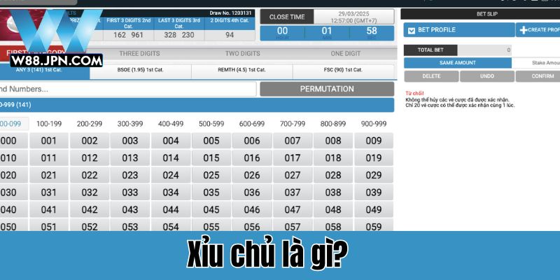 Xỉu chủ là gì